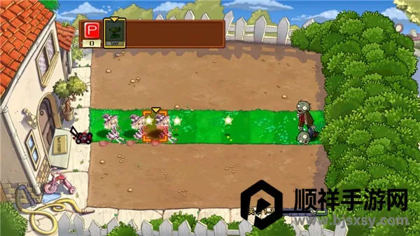 植物大战僵尸东方版