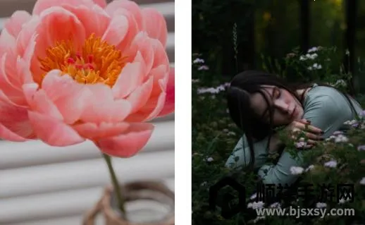 苹果壁纸2025最新版本 苹果壁纸2025最新版本