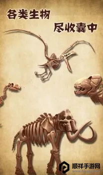 ��ʯ�����2025���ذ�װ