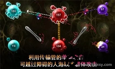 ��ֳս��2(����ս������)