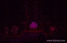 ̩�����Ǵ浵2026�ٷ�����