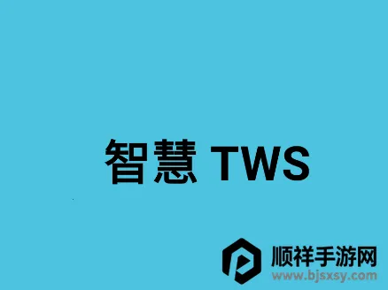 �ǻ�TWS2026�ٷ�����