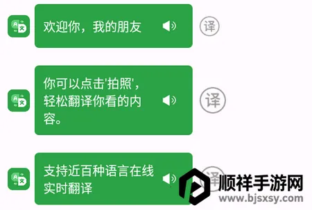 极致语言翻译器2026下载安装 极致语言翻译器2026下载安装