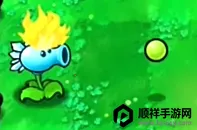 ֲ���ս��ʬ����