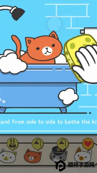 小猫咪之家 小猫咪之家