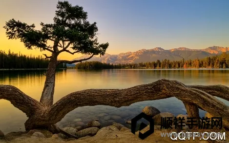 初上相机 初上相机