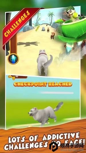 ���ܵ�С��