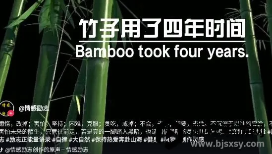火山车娱2026官方最新版本 火山车娱2026官方最新版本