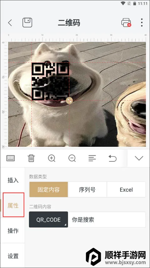������ӡ
