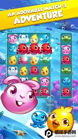 宠物碰碰碰2026最新版本 宠物碰碰碰2026最新版本