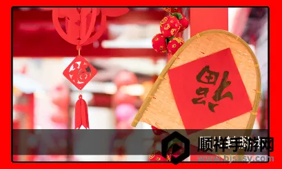 ���ݿǽű�����