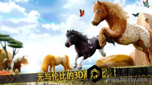 �����п�