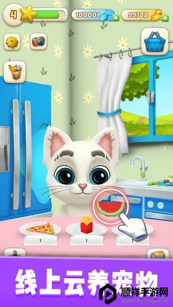 我的猫咪奥斯卡 我的猫咪奥斯卡