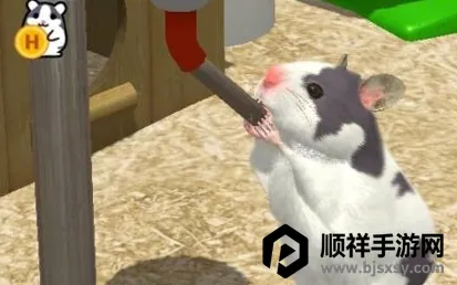 �ҵĲ���׿���ֻ���