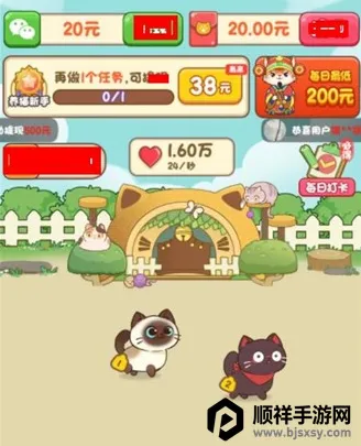 我家猫舍 我家猫舍