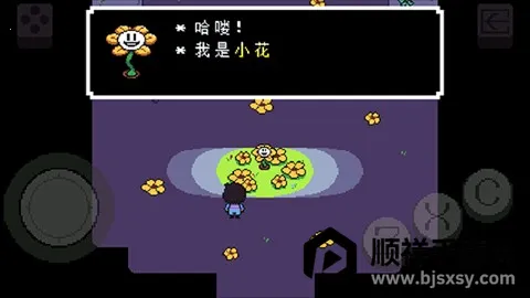 ������˵���İ�