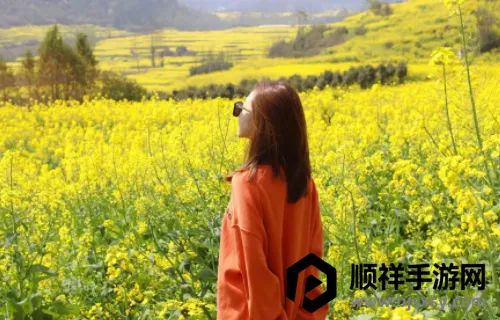 �����������2026�ٷ�����