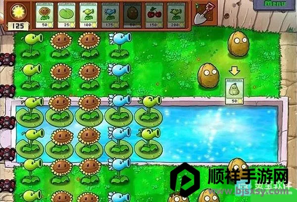 植物大战僵尸CL 植物大战僵尸CL