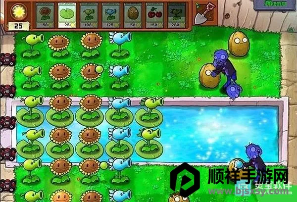 植物大战僵尸CL 植物大战僵尸CL