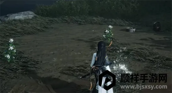 ����ʮ����2026���ذ�װ