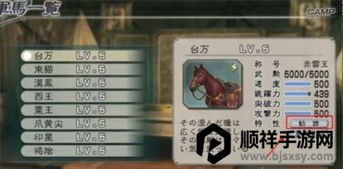 ��������˫(������������)