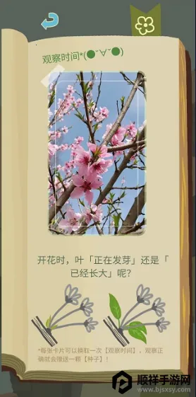 ��ũ������������