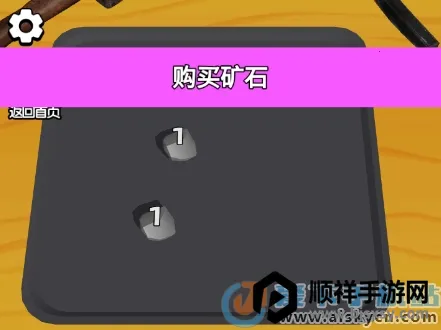 ���������ʦ���޽��