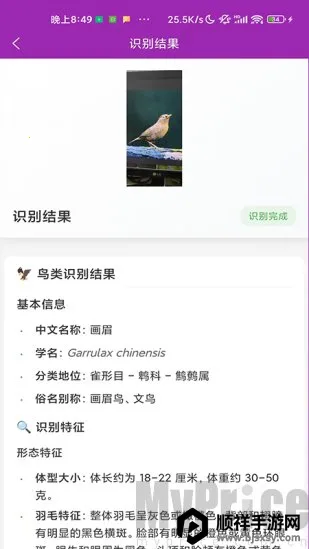 识鸟(鸟类识别工具) 识鸟(鸟类识别工具)