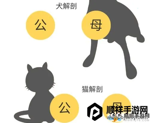 3dbody�����ƽ��