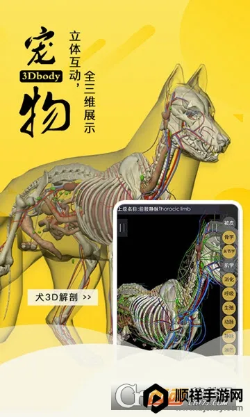 3dbody�������İ�