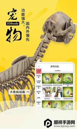 3dbody�������İ�
