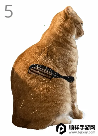 ��è��ë(è����ëС��Ϸ)