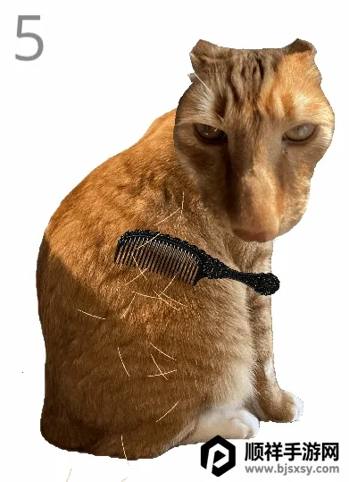 ��è��ë(è����ëС��Ϸ)