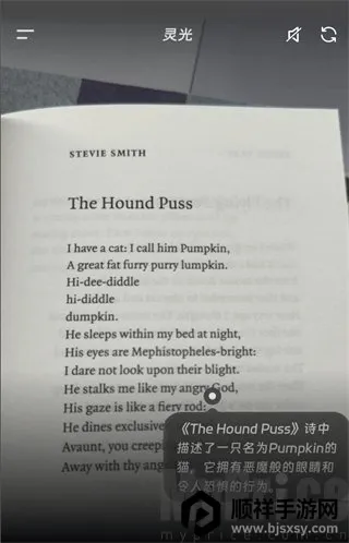 ���AI��������