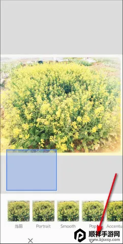 BetterSeed(ͼƬ��������)