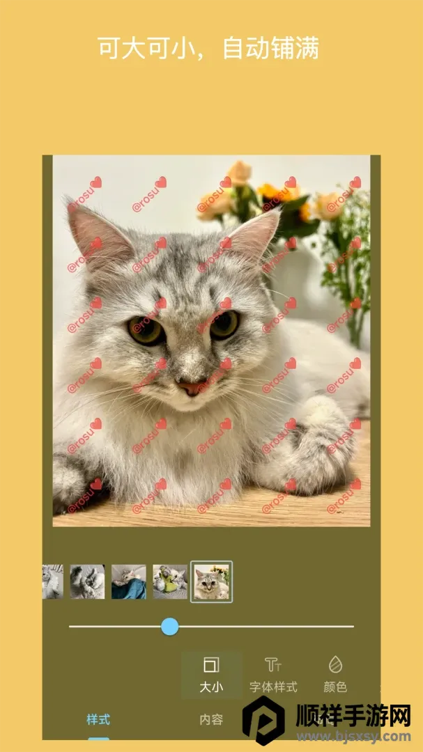 ��ˮӡ��Ƭ(��Ƭˮӡ������)